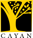 Almetrek Holding Group